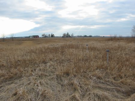 Blue Sky Drive-In Theatre - More Speaker Poles - Photo By Www (newer photo)